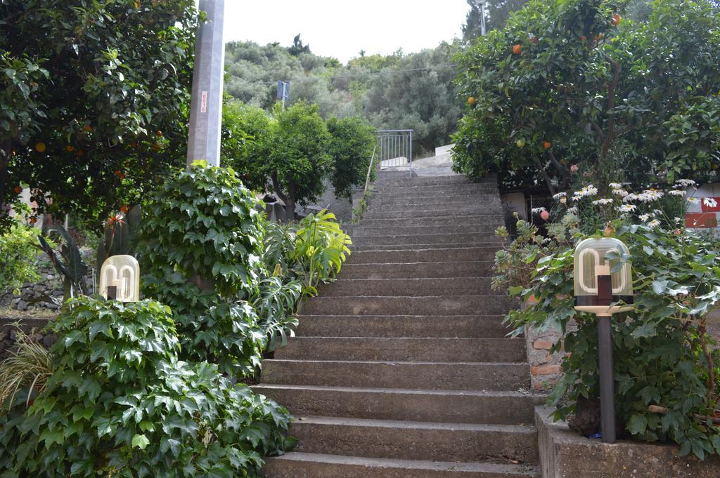 福扎格鲁La Casa Di Giulia公寓 外观 照片